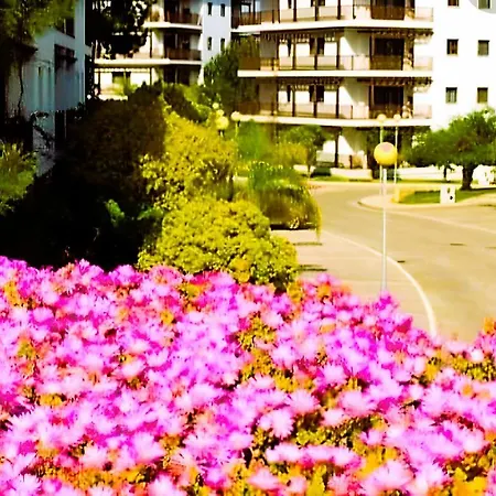 Apartament Penthouse Pine Sun Park - Holidays - Acoteias - Albufeira Olhos de Agua (Albufeira)